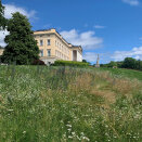 Parts of the Palace Park have been converted to flowery meadows. In size, the areas equals six football fields. Photo: Liv Osmundsen, the Royal Court